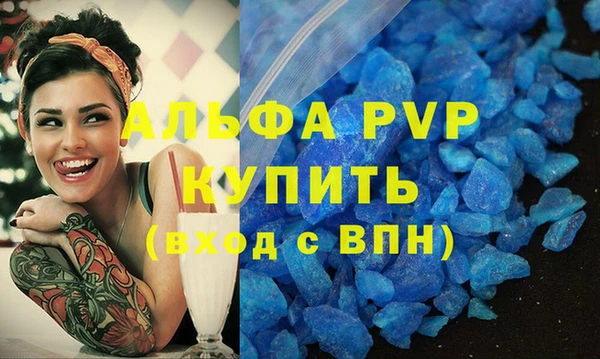 стафф Корсаков