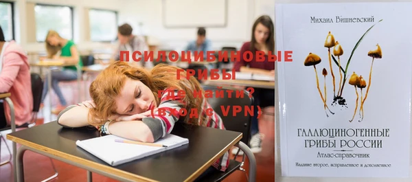 таблы Козловка