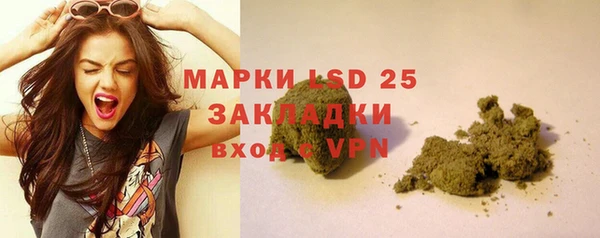 прущие грибы Костерёво