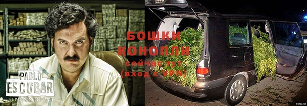 гидропоника Кодинск